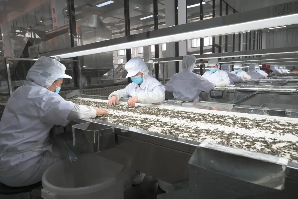 air shower for cleanroom,
air shower manufacturers,
air shower price,
air shower room,
air shower room design,
air shower supplier,
air shower systems,